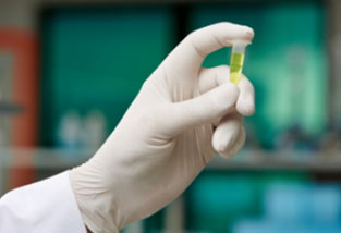 Antimicrobial Gloves